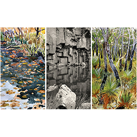 Wednesdays: en plein air